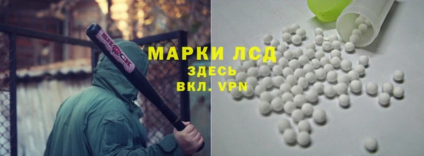 стаф Богданович