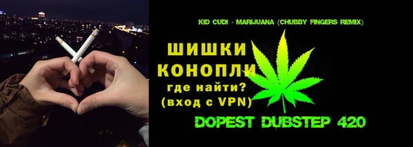 стаф Богданович