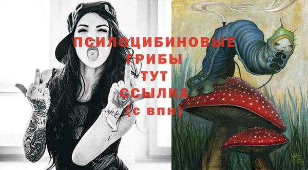 не бодяженный Богородск