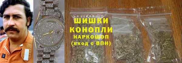 стаф Богданович