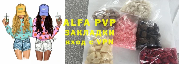 стаф Богданович