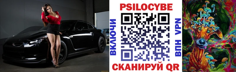 Галлюциногенные грибы Psilocybe  Козельск 
